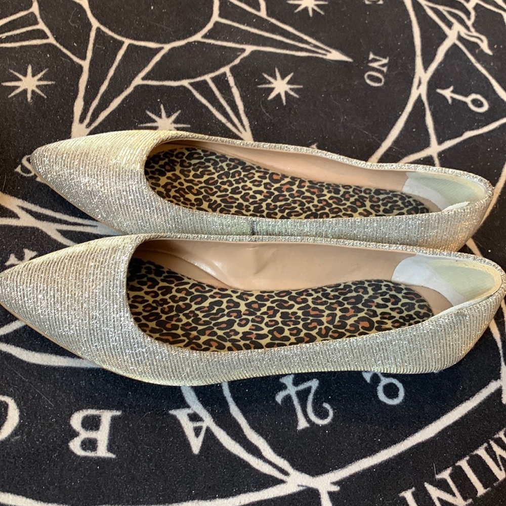 Audrey Brooke Gold/Silver Shine flats